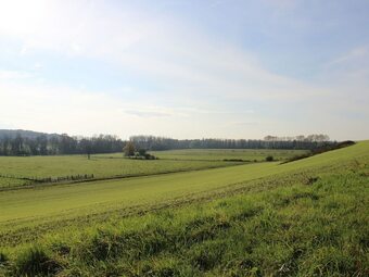 Authentic, Renovated Country House With Private Heated Pool