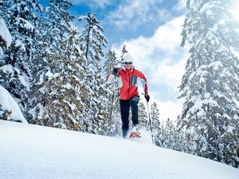 Boutique Holiday Home In Wald In Pinzgau With Garden