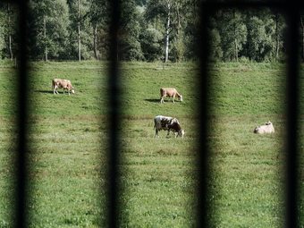 Beautiful Wooden Chalet In Rattendorf With Garden