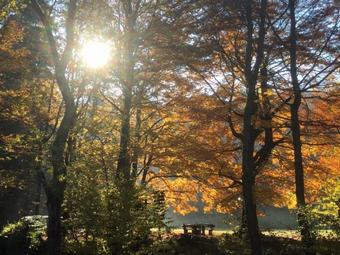 Comfortable And Modern Holiday Home In Hessen With Private Roof Terrace