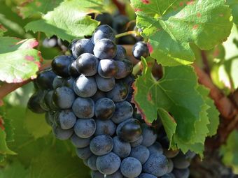 Villa Beautiful Holiday House With Airco And Private Pool Near Uz�s