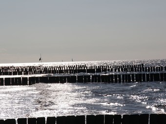 Homey Bungalow With Roofed Terrace, Garden, Garden Furniture