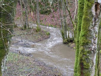 Small Typical Ardennes House, Comfortable, In Quiet Hamlet