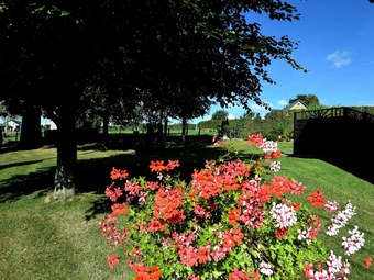 Beautiful Apartment Near Forest In Nidrum