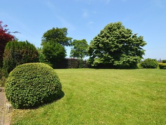 Premium Cottage In Petites Tailles With Terrace