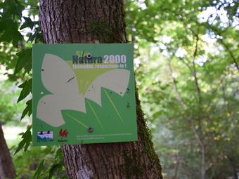 Apartamentos Enjoy A Relaxing Break For Two And Discover Durbuy And The Caves Of Hotton