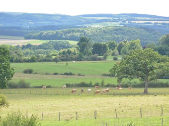 Villa With Modern Conveniences Completely Renovated Next To A Beautiful Garden