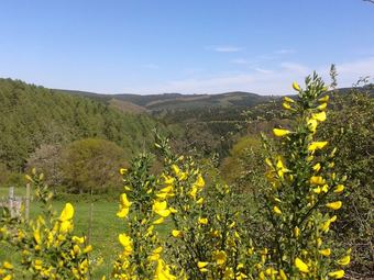 Dreamy Holiday Home In Fays With Sauna