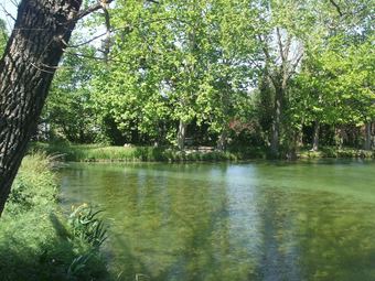 Detached And Tasteful Holiday Home On A Wooded Plot Near The Vineyards