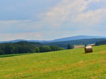 Apartamentos Nice Flat With Sauna, Covered Terrace, Garden And Tree House For Children