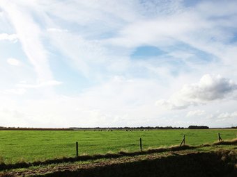 Holiday Home Hidden In The Wood, In Vechtdal, Overijssel