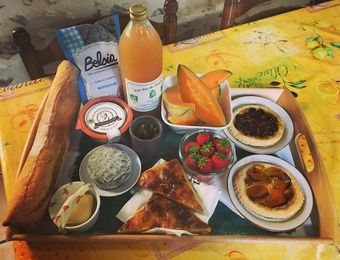 Bed & Breakfast Tui's Nest Glamping