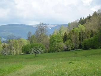 Peaceful Apartment In Bohemian With Private Terrace