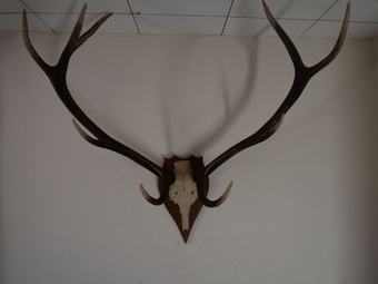 Quaint Cottage In Kuchelscheid With Terrace