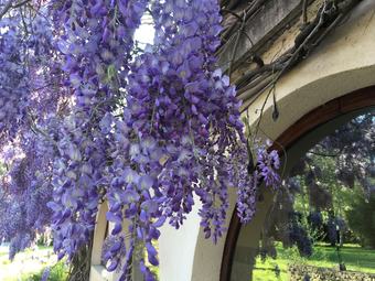 Bed & Breakfast Villa Franciana