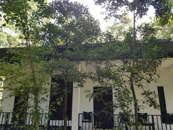 Hotel Green House Resort