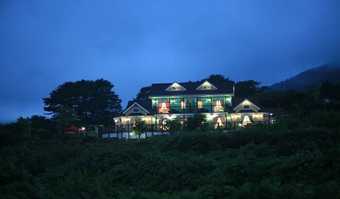 Aroma Tree Pension