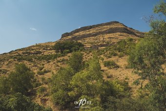 Hotel Golden Resort And Farm