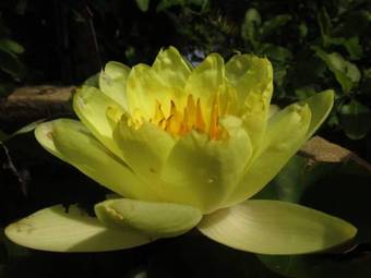 Holiday Home Botanica