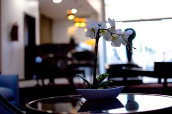 Hotel Swiss International The Vistana