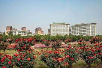 Hotel Holiday Inn Nanyang