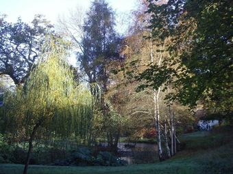 Frogmill B&B