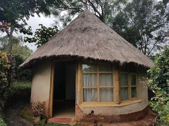 Hotel Kip S Eco Resort