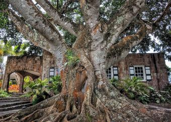 Hotel Montpelier Plantation & Beach