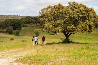 Agroturismo Casas De Romaria De Brotas