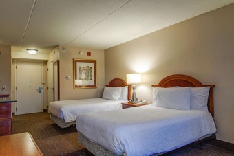 Hotel Hilton Garden Inn Detroit Metro Airport