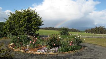 Bed & Breakfast Blueberry B & B