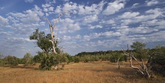 Posada The Retreat Selous