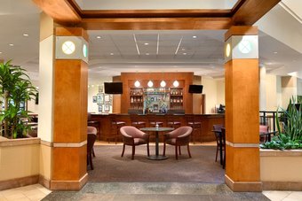 Hotel Embassy Suites By Hilton Tampa Usf Near Busch Gardens