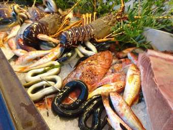 Tanit Hotel Ristorante Museo