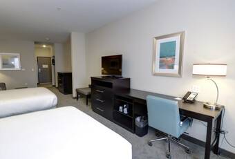 Hotel Holiday Inn Express & Suites Austin South