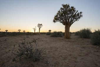 Hotel Canyon Roadhouse