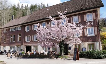Hotel Schwarzwaldgasthof Kl�sterle Hof