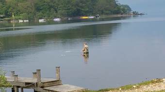 The Four Seasons Hotel