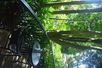 Linger A While Chalet