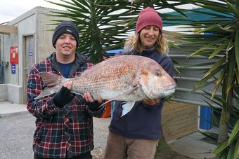 Island View Holiday Park