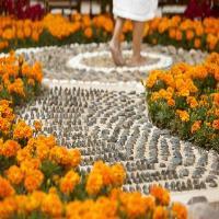 Hotel La Costa Resort & Spa