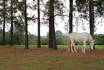 San Raphael Country Hotel
