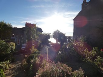 Bed & Breakfast Kentwood Guest House