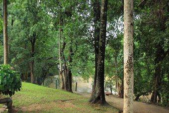 Hotel Dambulu Oya Family Park