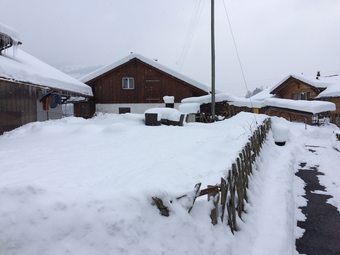 Ver fotos