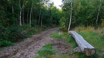 Hotel Tannenhof Haiger