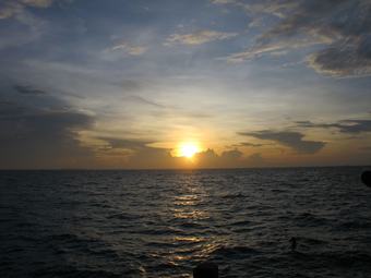 Hotel Pulau Ayer Resort And Cottages