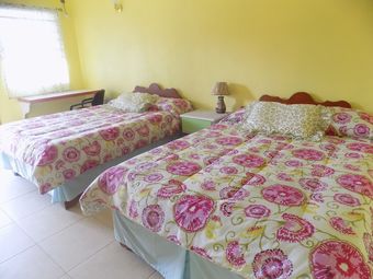 Hotel Tropical Paradise View