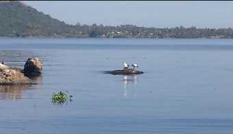 Posada El�molo Crocodile Park And Lodge