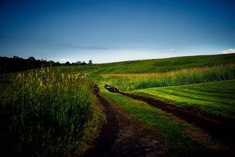 Hotel Auberge West Brome